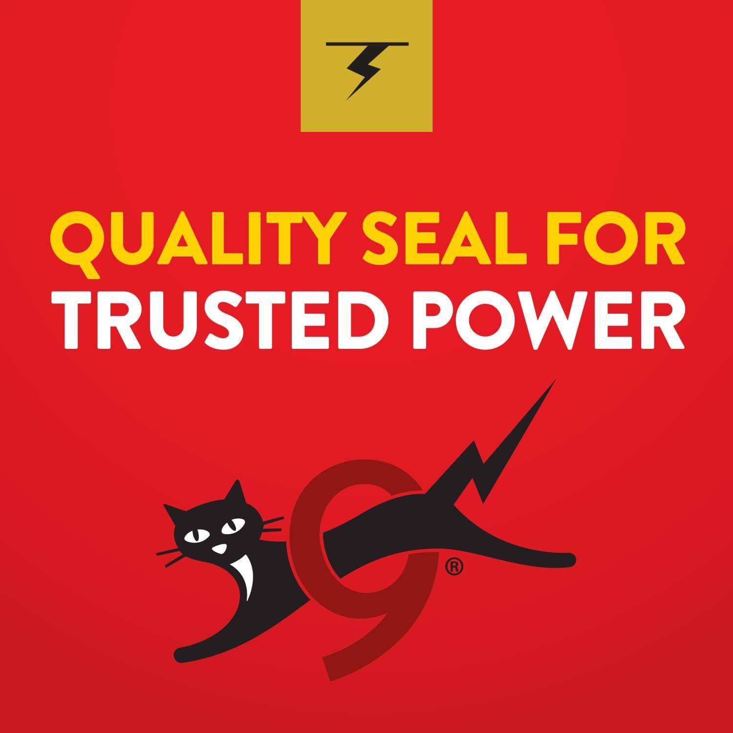 image:imageEnvirofit Energizer C2 EVEREADY Alkaline Battery 2 Count Pack of 12 Count Pack of 1